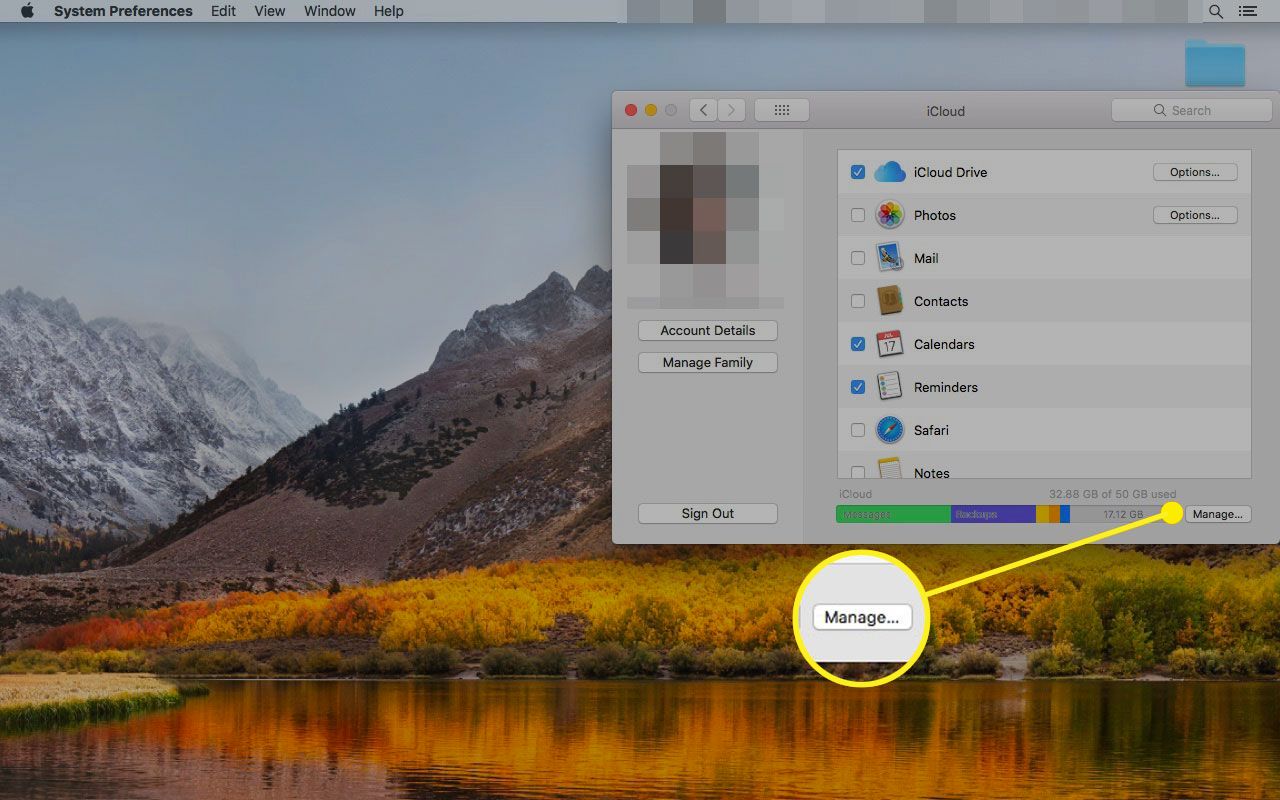 Налаштування iCloud на Mac із виділеною кнопкою Керування