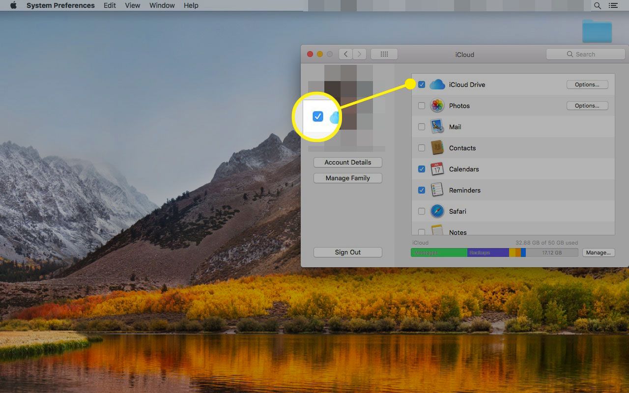 Налаштування iCloud на Mac із виділеним полем біля iCloud Drive