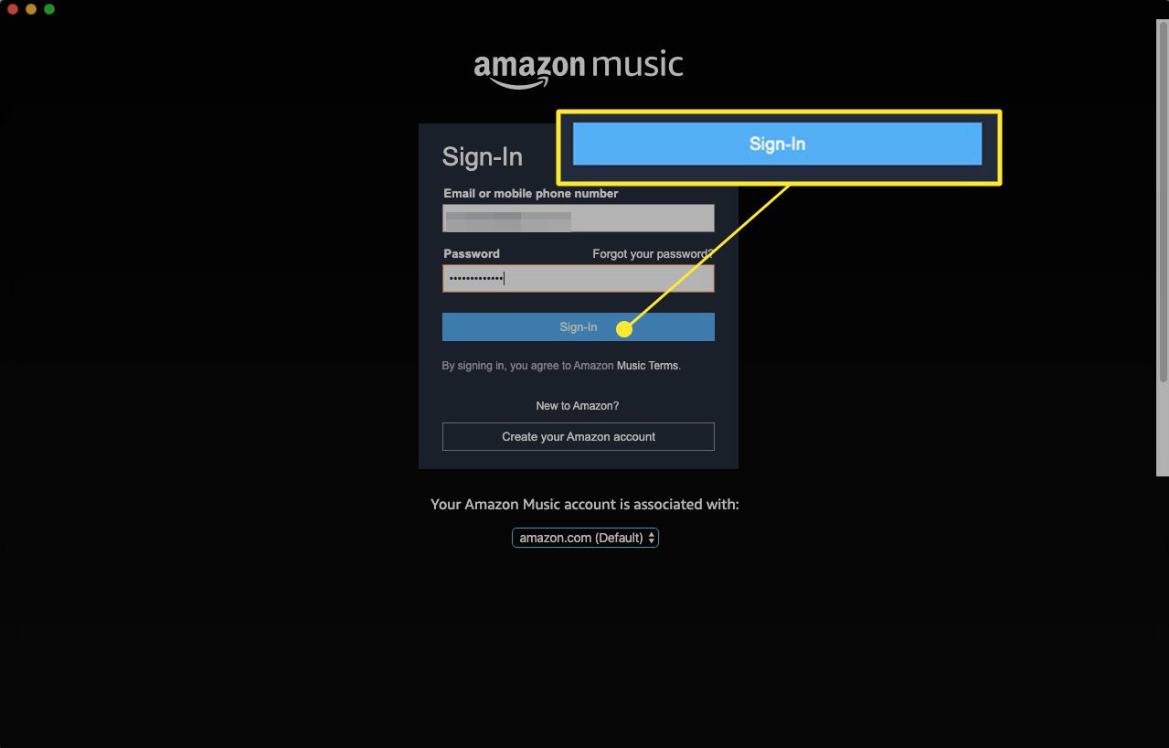 Екран входу в веб-додаток Amazon для музики з підсвічуванням "Увійти"