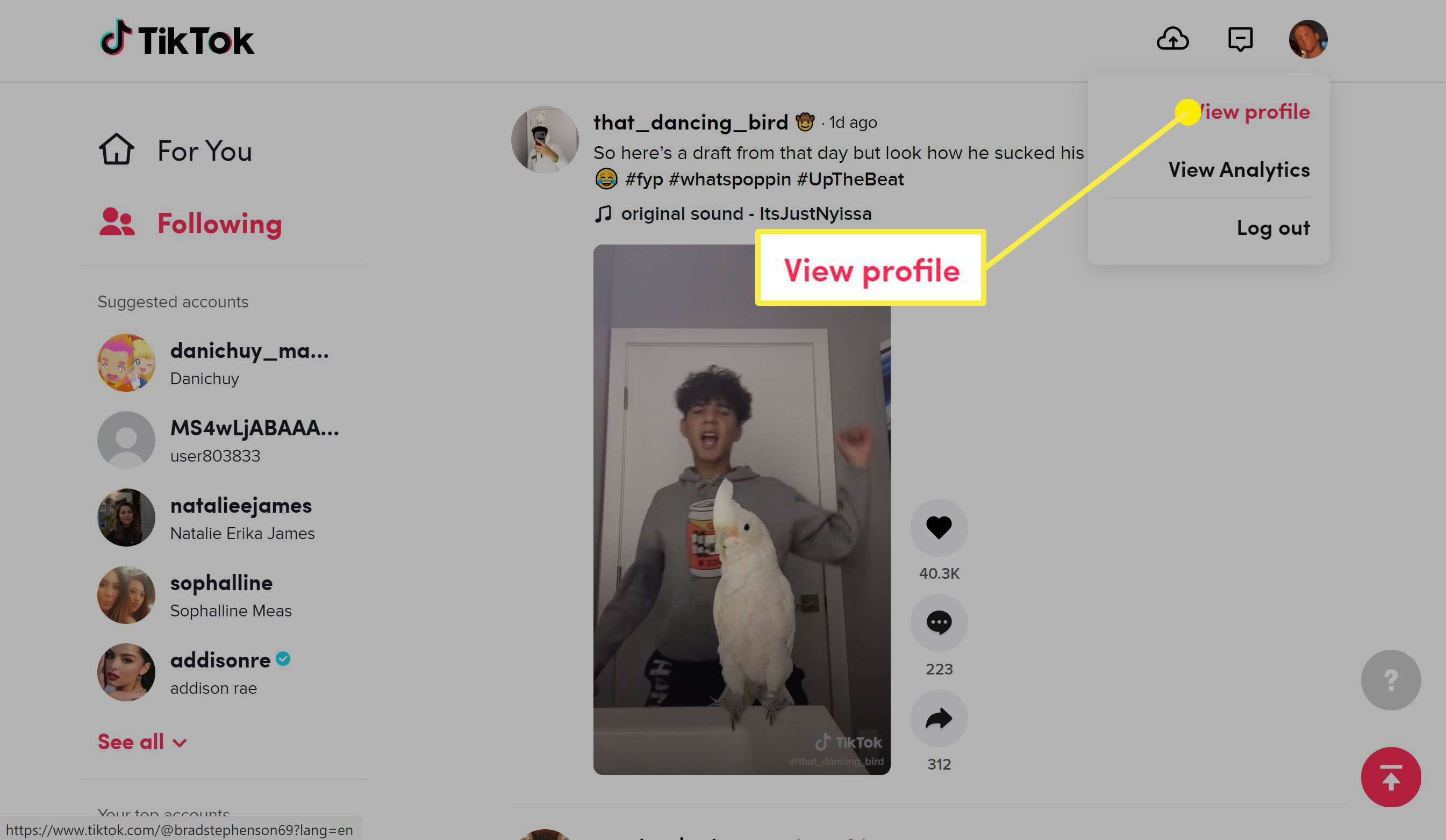 Web'de TikTok'ta Profili Görüntüle seçeneği.