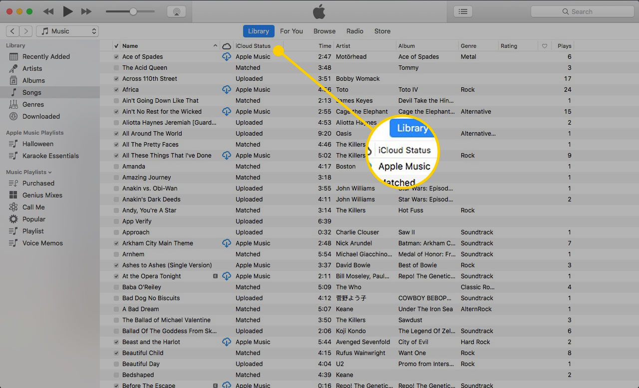 iTunes на Mac із виділеним заголовком iCloud Status
