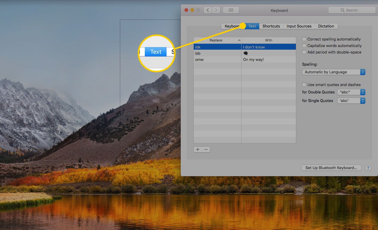 Налаштування клавіатури в налаштуваннях системи macOS із виділеною вкладкою Текст