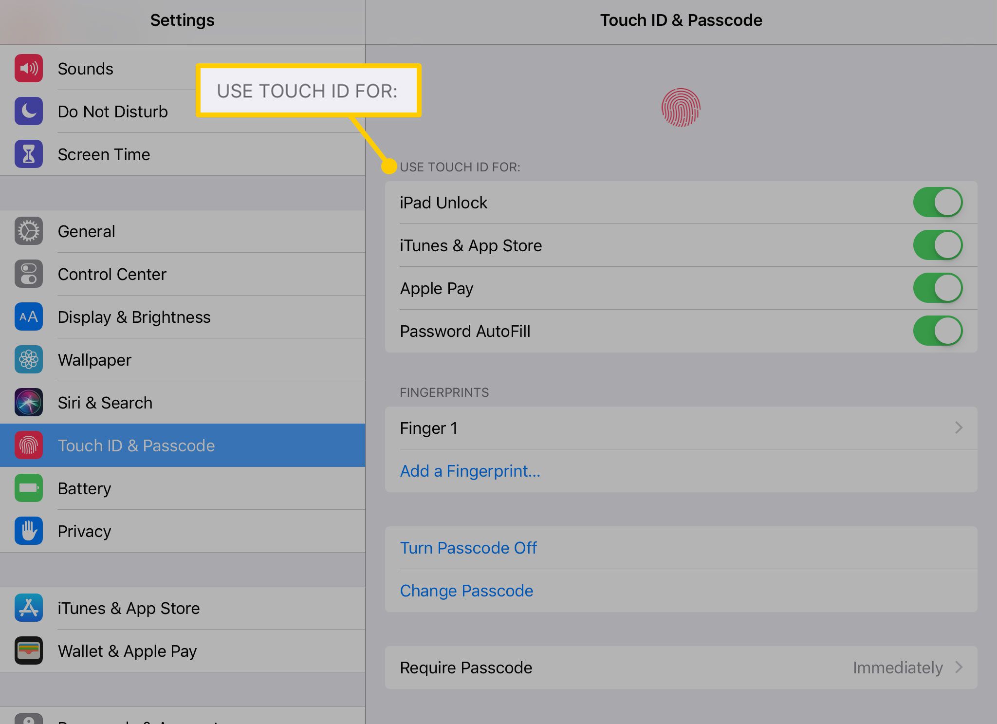Використовуйте Touch ID для налаштувань на iPad