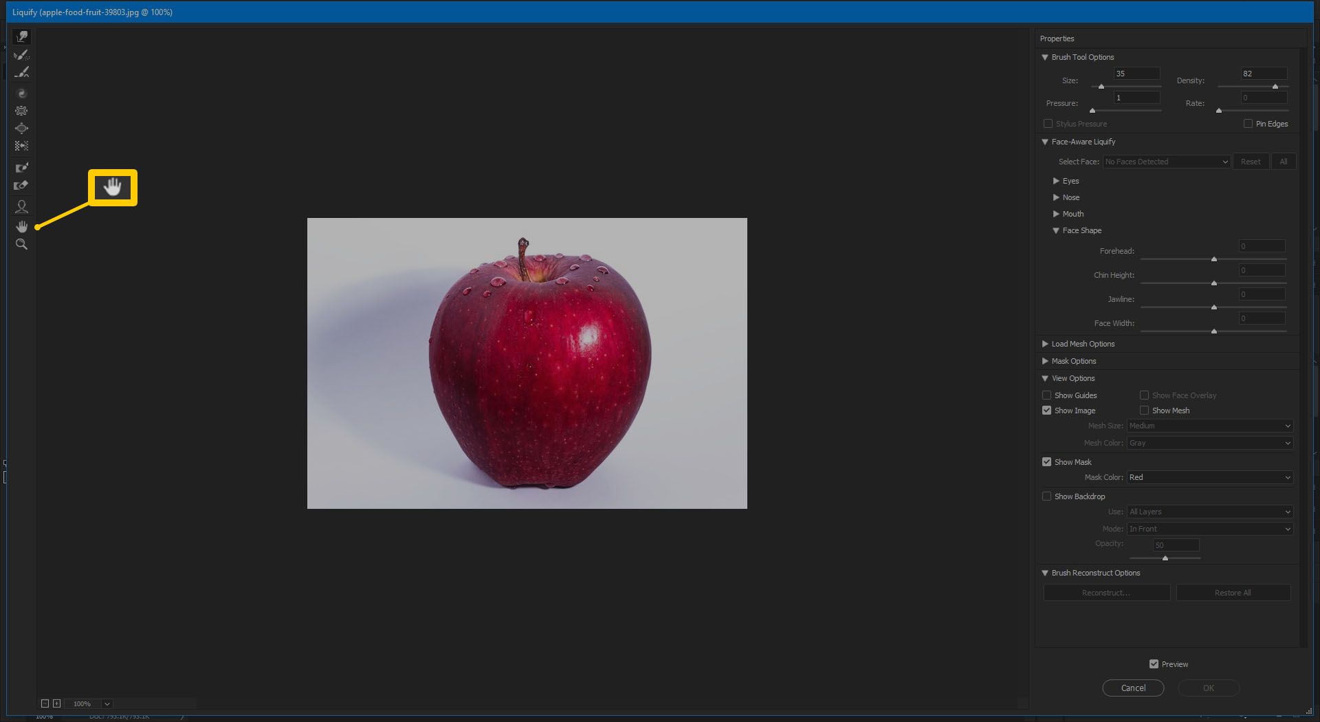 Знімок екрана ручного інструменту у Photoshop CC 2019.