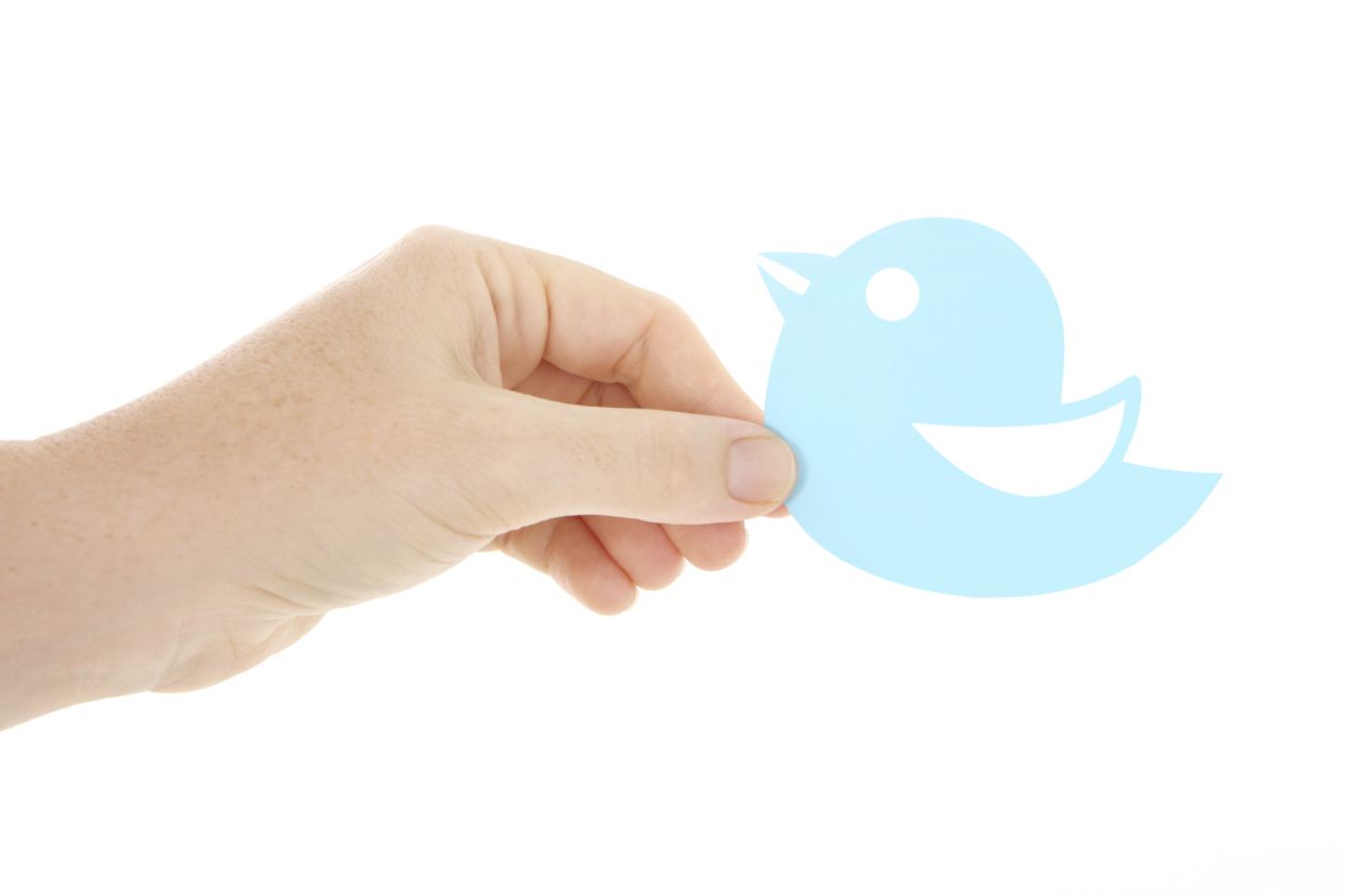 Руки, що тримає логотип, який виглядає як блакитний птах Twitter.