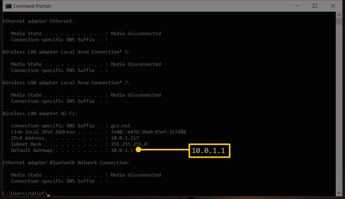 Знімок екрана програми командного рядка Windows, що відображає шлюз за замовчуванням 10.0.1.1