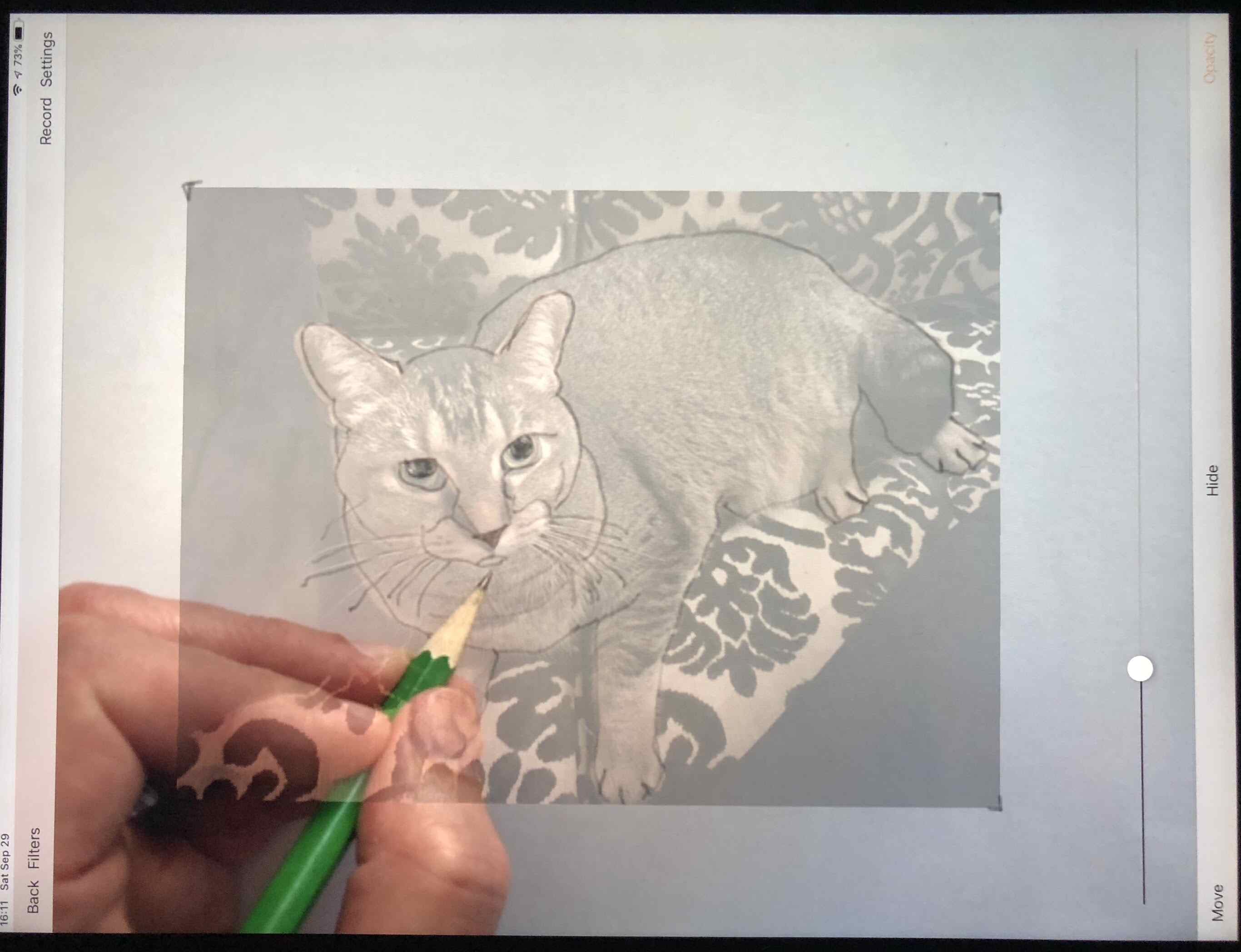 Фотографія програми Да Вінчі, що показує фотографію кота на екрані iPad, з папером і рукою олівцем нижче, малюючи кота