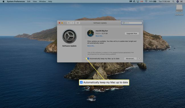 Відключення автоматичних оновлень у розділі оновлення програмного забезпечення Mac.
