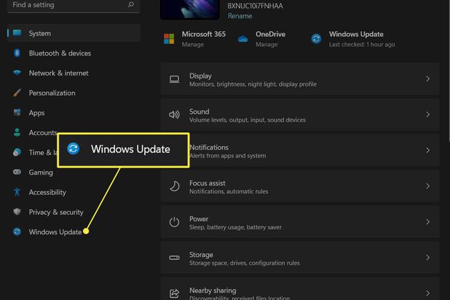 Програма налаштувань Windows 11 із виділеним пунктом Windows Update у меню ліворуч
