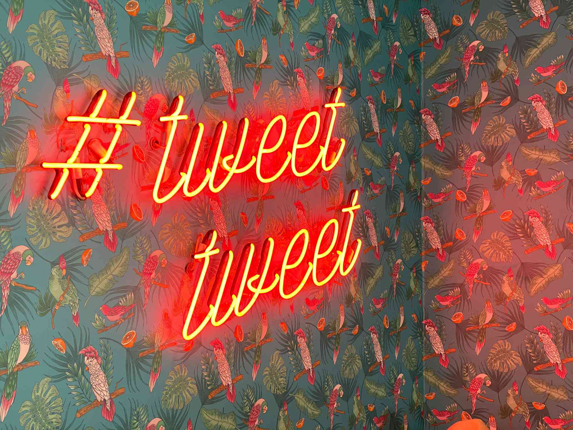 Неонова вивіска з написом #tweettweet на стіні, покритій шпалерами на тему папуг і джунглів.