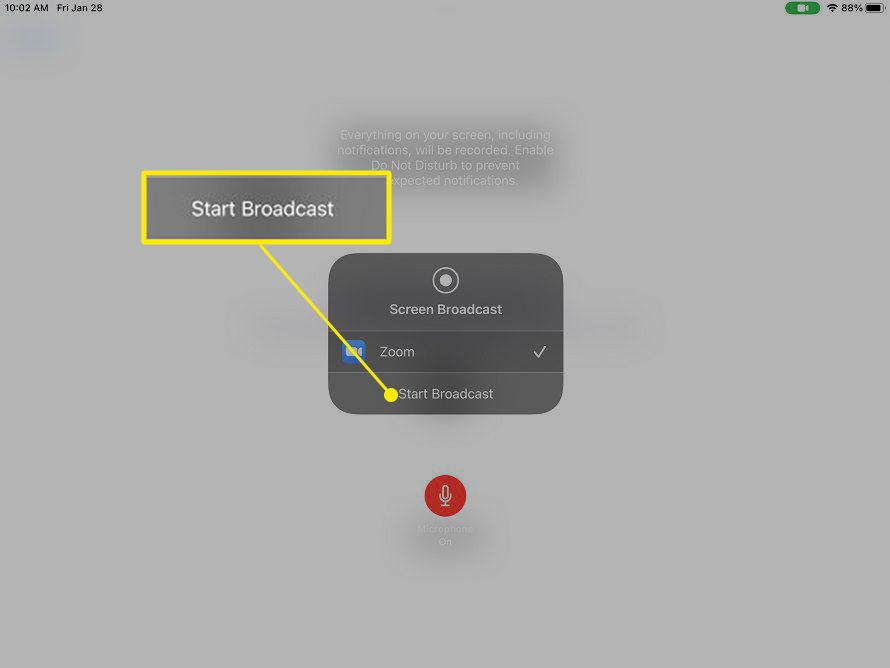 Показ екрана iPad Zoom із виділеним пунктом «Почати трансляцію».