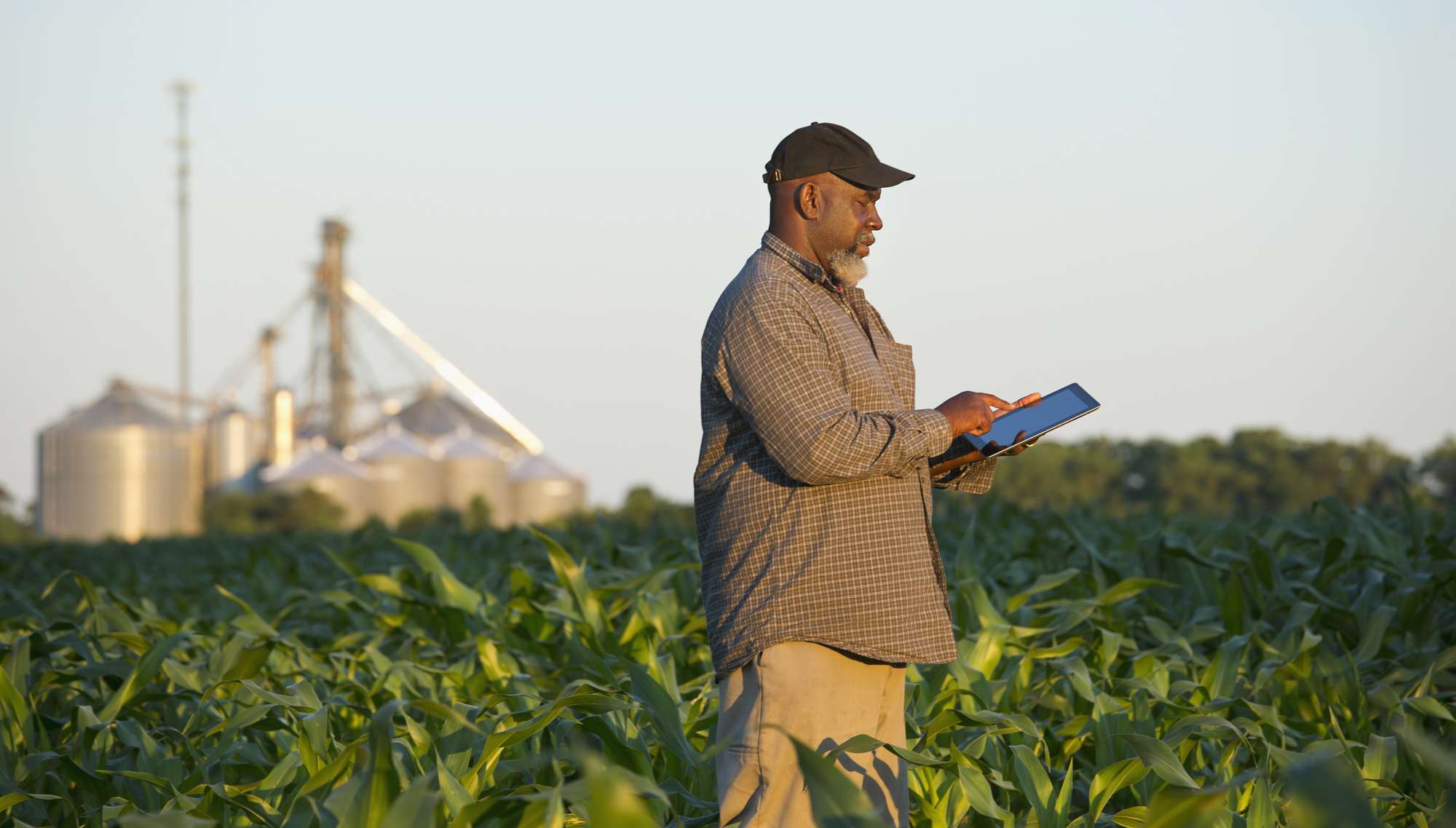 фермер з цифровим планшетом у полі врожаю