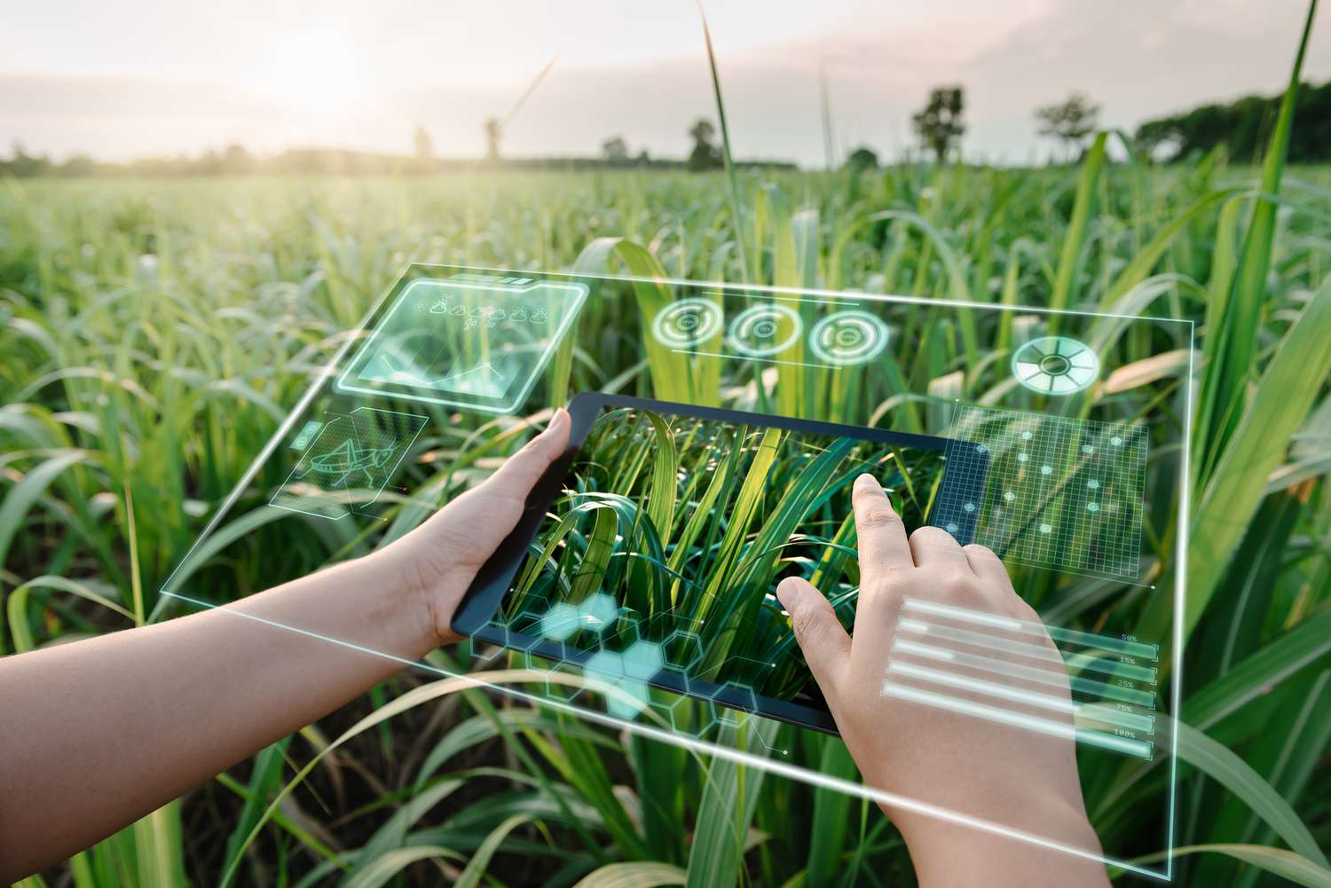 Хтось використовує планшет віртуальної реальності на полі, щоб керувати врожаєм.